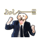 犬猫スーツ★スタンプ（個別スタンプ：2）