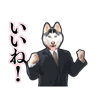 犬猫スーツ★スタンプ（個別スタンプ：20）