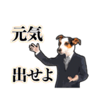 犬猫スーツ★スタンプ（個別スタンプ：21）