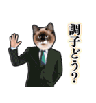 犬猫スーツ★スタンプ（個別スタンプ：24）