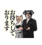 犬猫スーツ★スタンプ（個別スタンプ：34）
