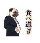 犬猫スーツ★スタンプ（個別スタンプ：38）