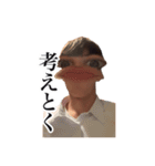 思春期イラン人（個別スタンプ：9）