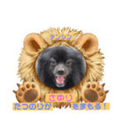 テンシンたつのり（個別スタンプ：1）