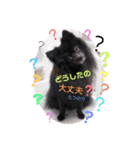 テンシンたつのり（個別スタンプ：3）