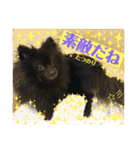 テンシンたつのり（個別スタンプ：8）