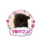 テンシンたつのり（個別スタンプ：10）