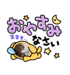 ハチワレ猫チェロ君（個別スタンプ：2）