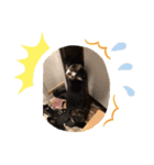 サンでーくんスタンプ（個別スタンプ：3）
