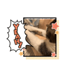 サンでーくんスタンプ（個別スタンプ：11）