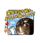 サンでーくんスタンプ（個別スタンプ：16）