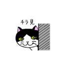 我々は猫だ(ハチワレVer.)（個別スタンプ：23）