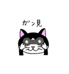 我々は猫だ(ハチワレVer.)（個別スタンプ：24）