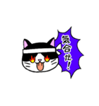 我々は猫だ(ハチワレVer.)（個別スタンプ：27）