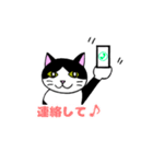 我々は猫だ(ハチワレVer.)（個別スタンプ：28）