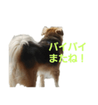 ごはん大好き（個別スタンプ：4）