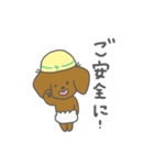 おむつ犬【幸太郎】（個別スタンプ：24）