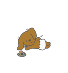 おむつ犬【幸太郎】（個別スタンプ：30）