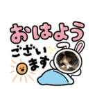 にゃんこの日常パート2（個別スタンプ：7）