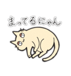 馬場ちゃんとしばネコ（個別スタンプ：18）
