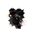 うちのねここ♡①（個別スタンプ：23）