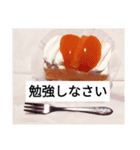シースケーキちゃん2（個別スタンプ：7）