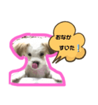 ワンコ系女子ハナちゃんのキモチ（個別スタンプ：2）