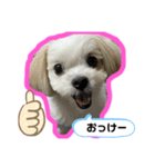 ワンコ系女子ハナちゃんのキモチ（個別スタンプ：8）