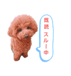 ルル汁（個別スタンプ：1）
