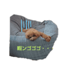 ルル汁（個別スタンプ：2）