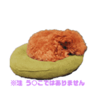 ルル汁（個別スタンプ：3）