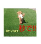 ルル汁（個別スタンプ：4）