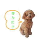 ルル汁（個別スタンプ：5）