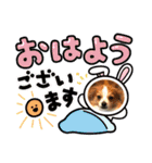 パピヨン  あおくん スタンプ（個別スタンプ：15）