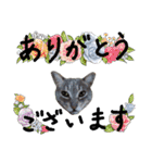 にゃんこにゃんこのスタンプ（個別スタンプ：10）