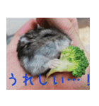 はむちのすたんぴ（個別スタンプ：7）