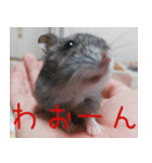 はむちのすたんぴ（個別スタンプ：9）
