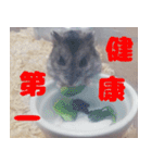 はむちのすたんぴ（個別スタンプ：10）