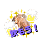 新橋Go5ガールズ（ゴゴガ）（個別スタンプ：3）