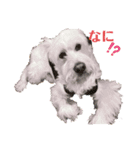 ミックスモコの毎日（個別スタンプ：2）
