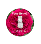 小さなうさぎと薔薇（個別スタンプ：1）