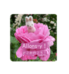 小さなうさぎと薔薇（個別スタンプ：2）