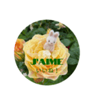 小さなうさぎと薔薇（個別スタンプ：3）