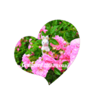 小さなうさぎと薔薇（個別スタンプ：6）