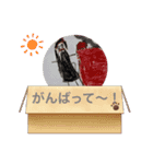 6歳の絵スタンプ（個別スタンプ：8）