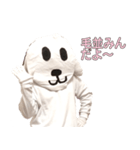 毛並みんの鬼かわ実写スタンプ vol.1（個別スタンプ：8）
