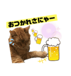 茶虎猫のニャン神タイガース 普通Ver.（個別スタンプ：5）