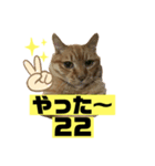 茶虎猫のニャン神タイガース 普通Ver.（個別スタンプ：11）