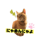 茶虎猫のニャン神タイガース 普通Ver.（個別スタンプ：12）