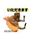 茶虎猫のニャン神タイガース 普通Ver.（個別スタンプ：21）